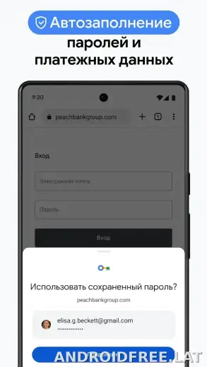 Google Chrome скриншот 6