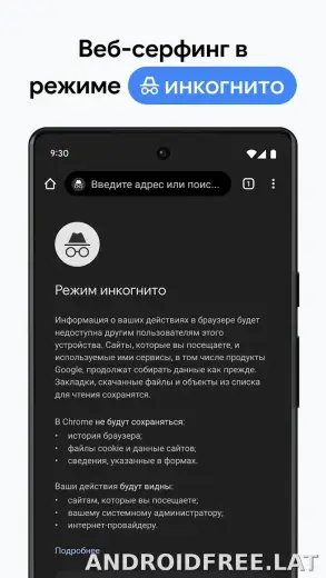 Google Chrome скриншот 3